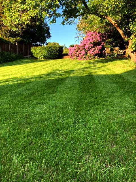 lawn mowing tunbridge wells