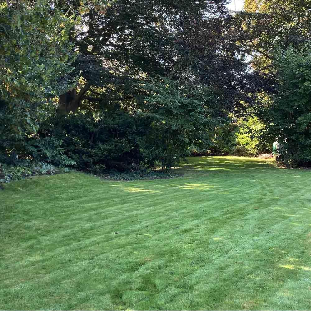 garden maintenance services, tunbridge wells