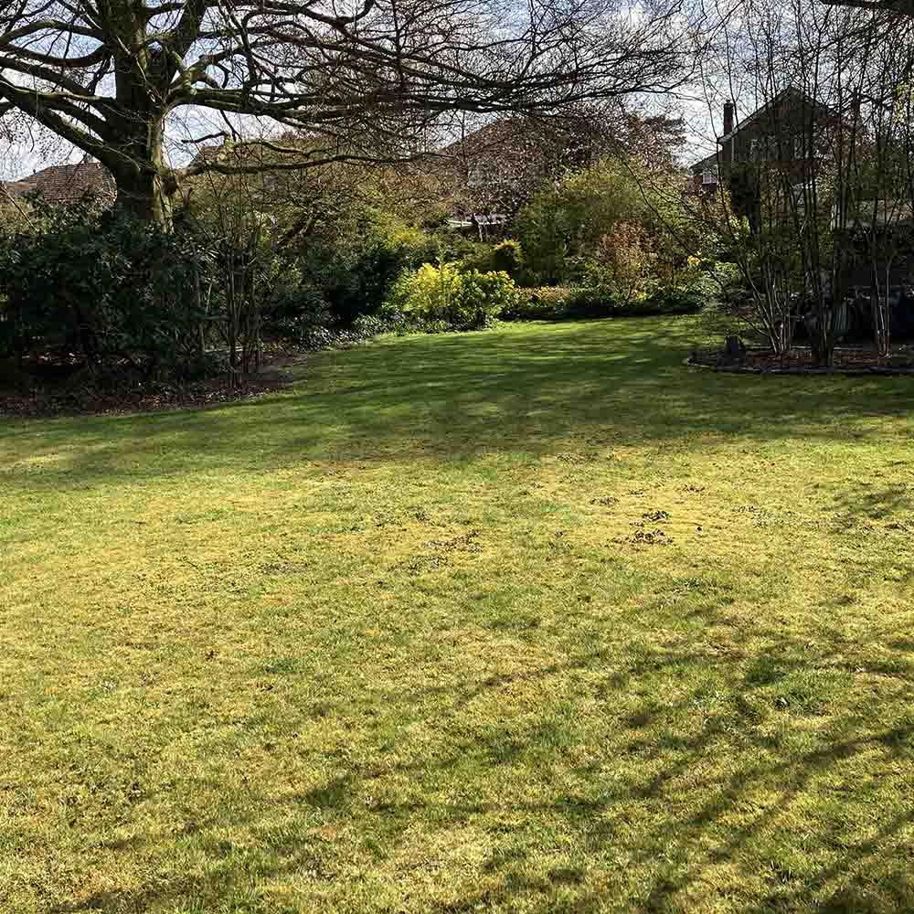 garden maintenance services, tunbridge wells