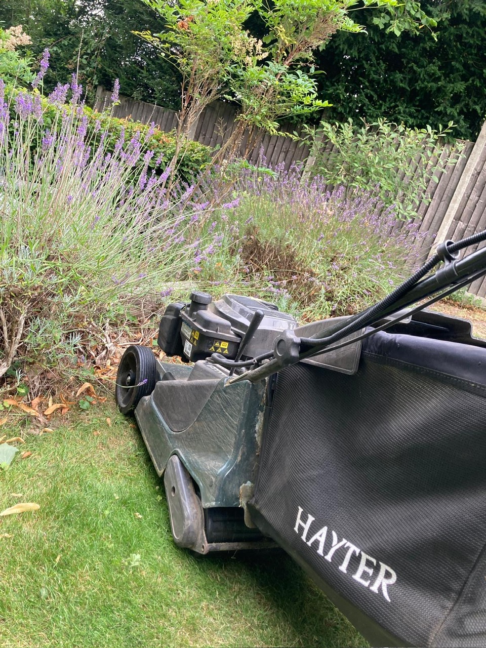 lawn care, tunbridge wells